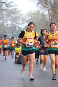 BIB: 15797, 10305
                            <button type="button" onclick="openModal(10413604)" class="btn btn-primary btn-sm float-right btn-popup" data-toggle="modal" data-target=".modal-high-quality">
                        <i class="fas fa-shopping-cart"></i> Add to Cart
                    </button>
                                            <button type="button" onclick="isThisMe(10413604, true)" class="btn btn-success btn-sm float-right btn-popup btn-isme hidden" data-toggle="tooltip" data-placement="bottom" title="นี่คือรูปของคุณใช่ไหม คลิกที่นี่เพื่อเอาเข้าอัลบั้ม">
                        <i class="fas fa-plus"></i> Add to album
                    </button>
                    <button type="button" onclick="isThisMe(10413604, false)" class="btn btn-warning btn-sm float-right btn-popup btn-isnotme hidden">
                        <i class="fas fa-ban"></i> Remove from album
                    </button>